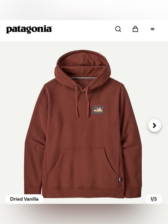 Patagonia Other - Patagonia Rust Red Hooded Pullover Sweatshirt